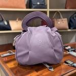 Triangle Sling Side Bag for Women